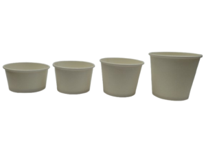 img 20210820 114412 removebg preview img 20210820 114412 removebg preview